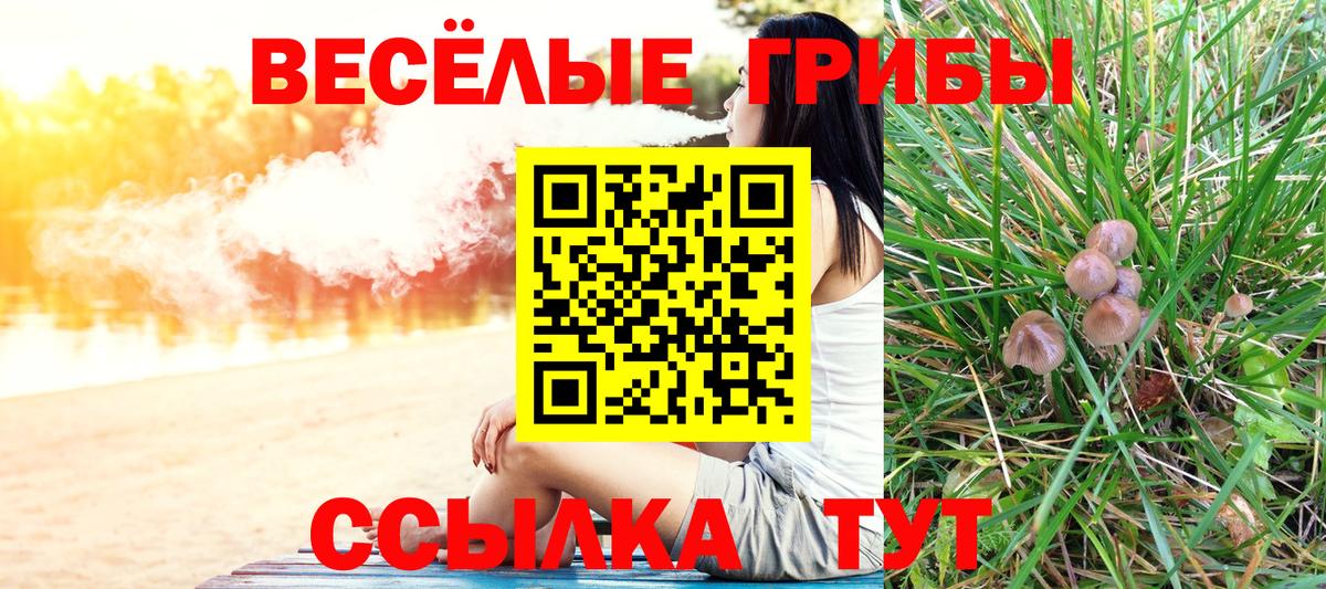 Псилоцибиновые грибы Magic Shrooms  магазин продажи   Наро-Фоминск  Вход с VPN 