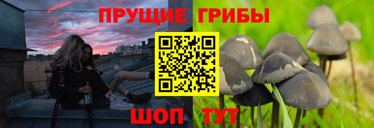 Галлюциногенные грибы Cubensis Наро-Фоминск
